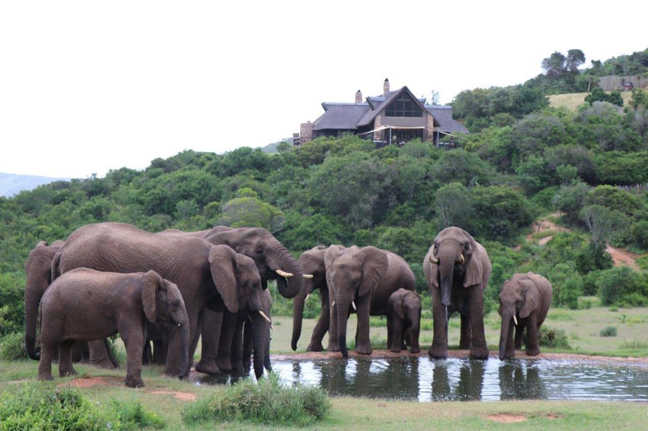 Hopewell Private Game Reserve Buyskloof