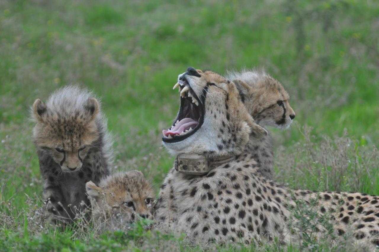 Lodge Hopewell Private Game Reserve